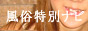 �������ʃi�r